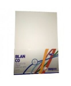 Hojas canson blanca numero 5 luma(358002)