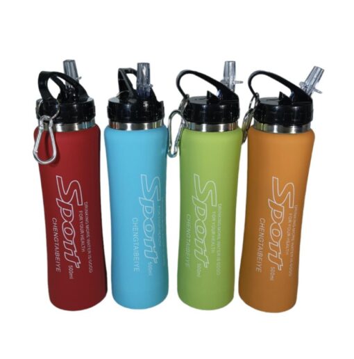 Botella de 500ml Sport (LF-1909)
